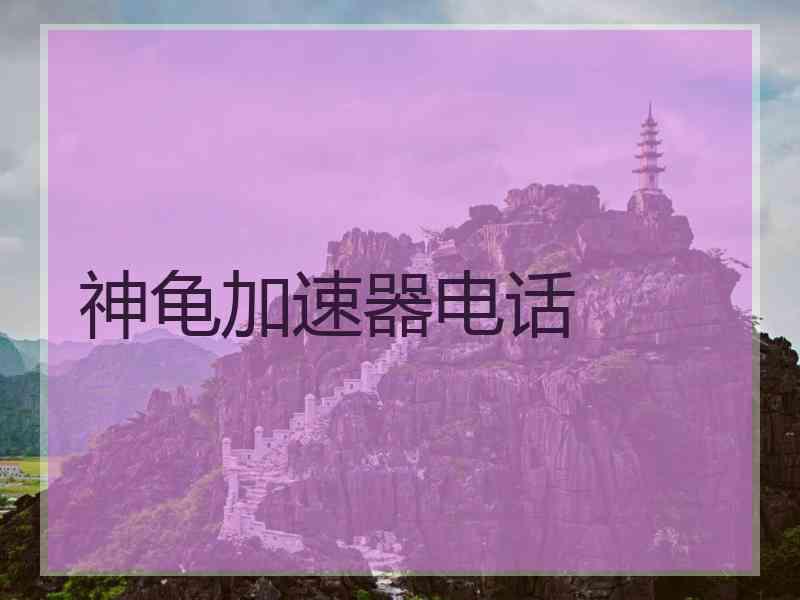 神龟加速器电话