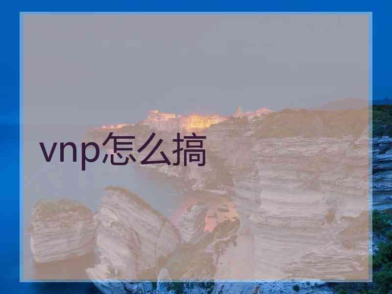 vnp怎么搞