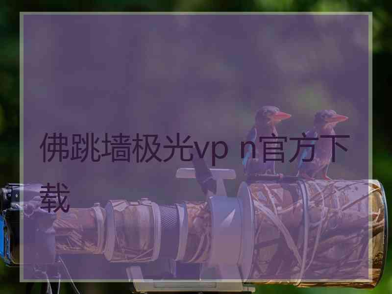 佛跳墙极光vp n官方下载