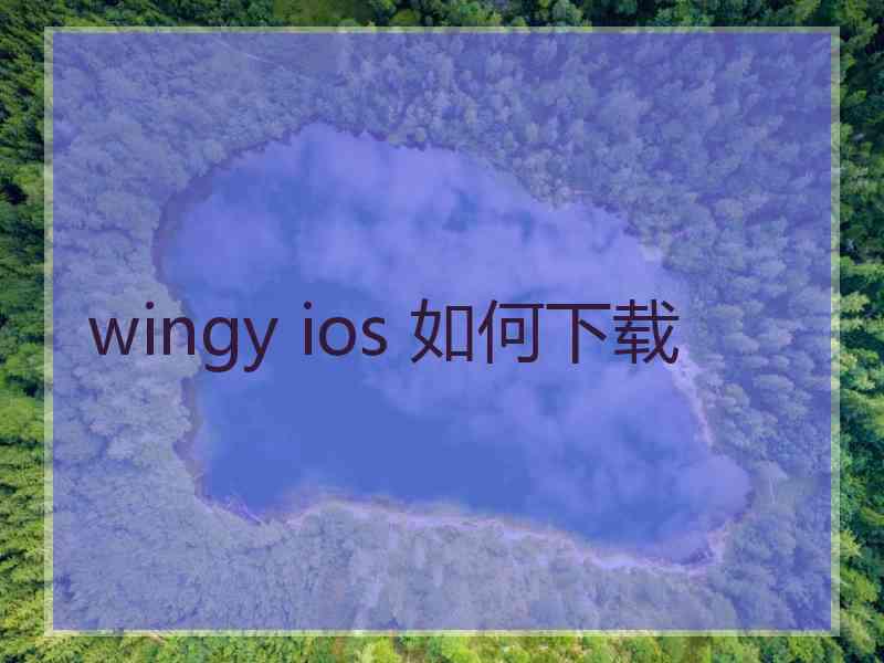 wingy ios 如何下载