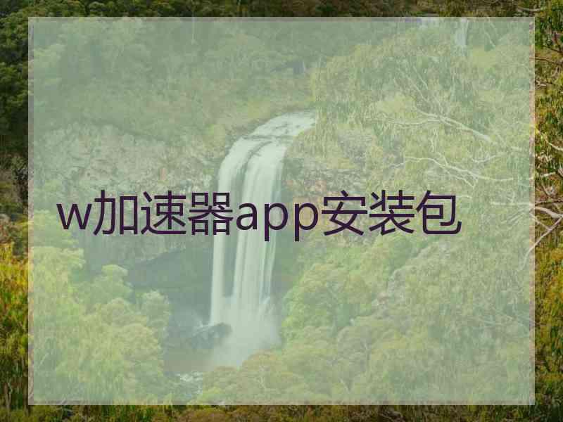 w加速器app安装包