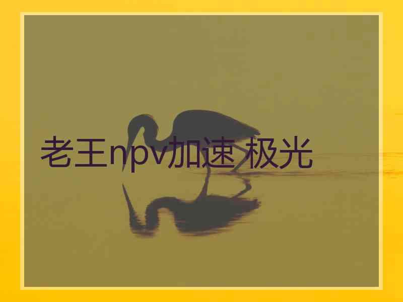 老王npv加速 极光