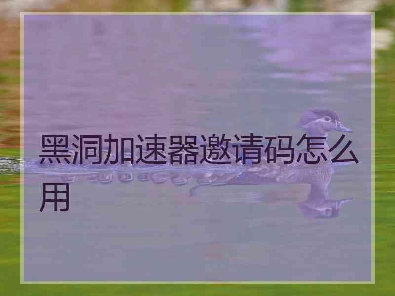 黑洞加速器邀请码怎么用