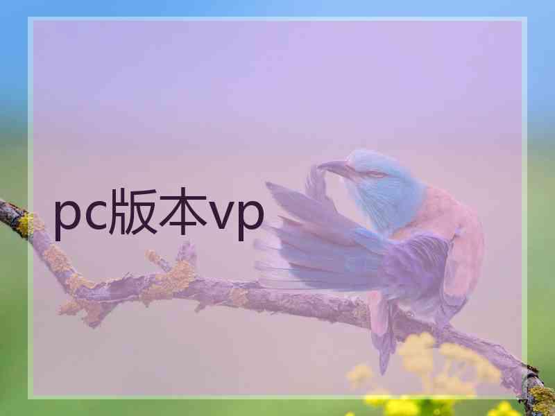 pc版本vp