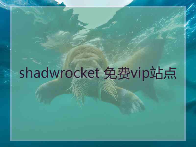 shadwrocket 免费vip站点