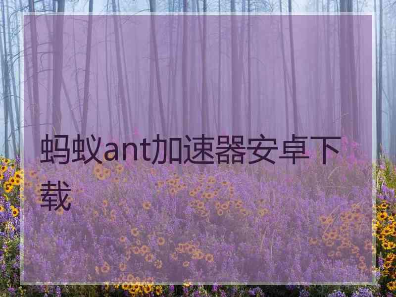 蚂蚁ant加速器安卓下载