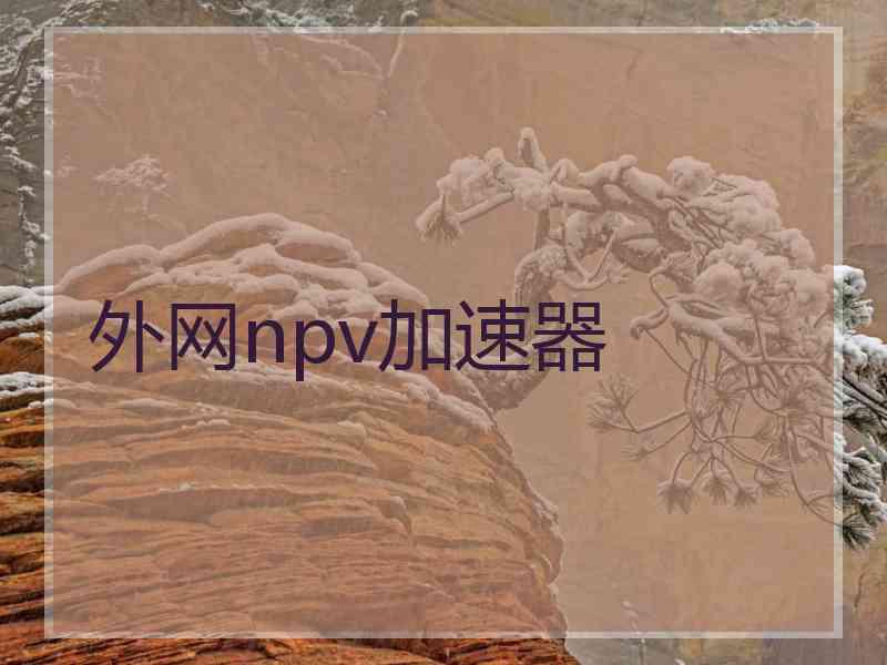 外网npv加速器
