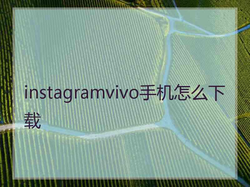 instagramvivo手机怎么下载