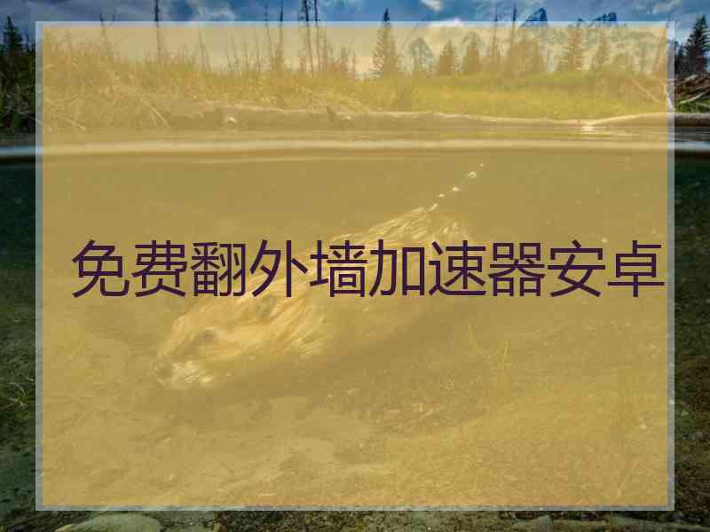 免费翻外墙加速器安卓