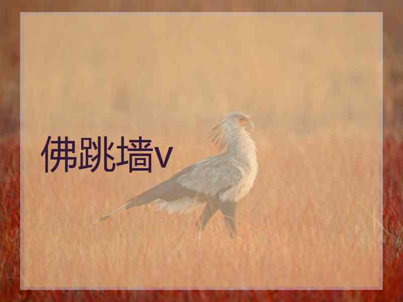 佛跳墙v