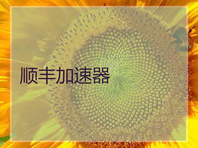 顺丰加速器