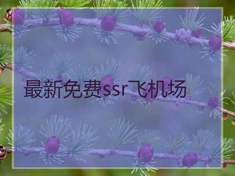 最新免费ssr飞机场