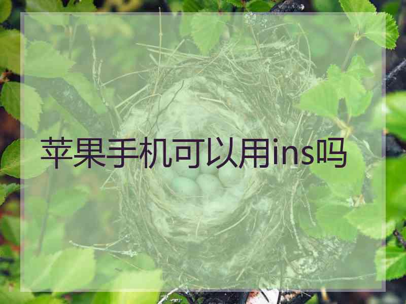 苹果手机可以用ins吗