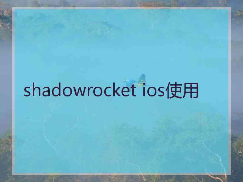 shadowrocket ios使用