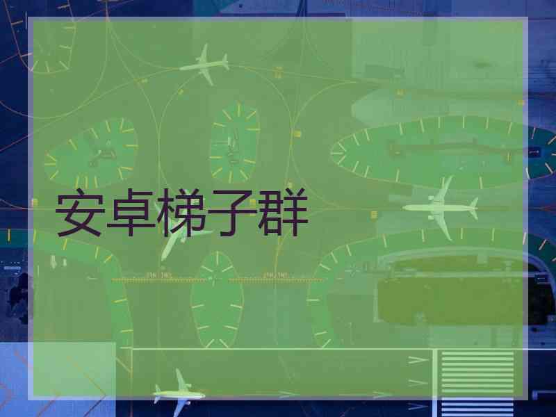 安卓梯子群