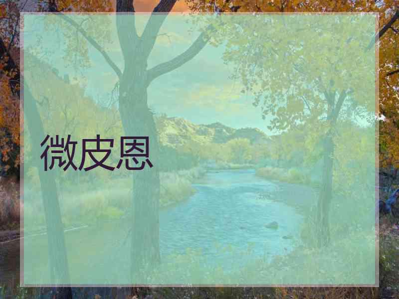 微皮恩