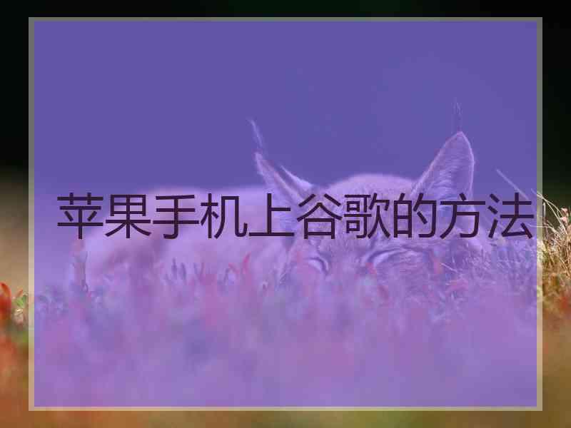 苹果手机上谷歌的方法