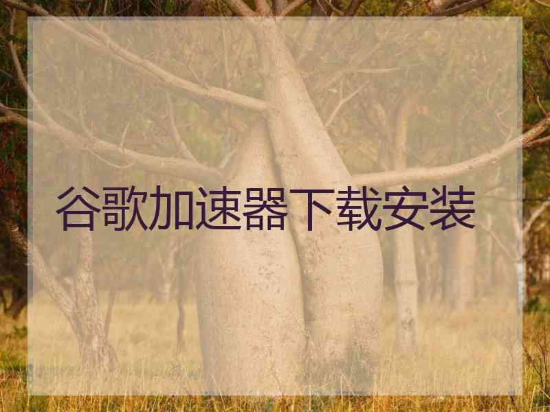 谷歌加速器下载安装