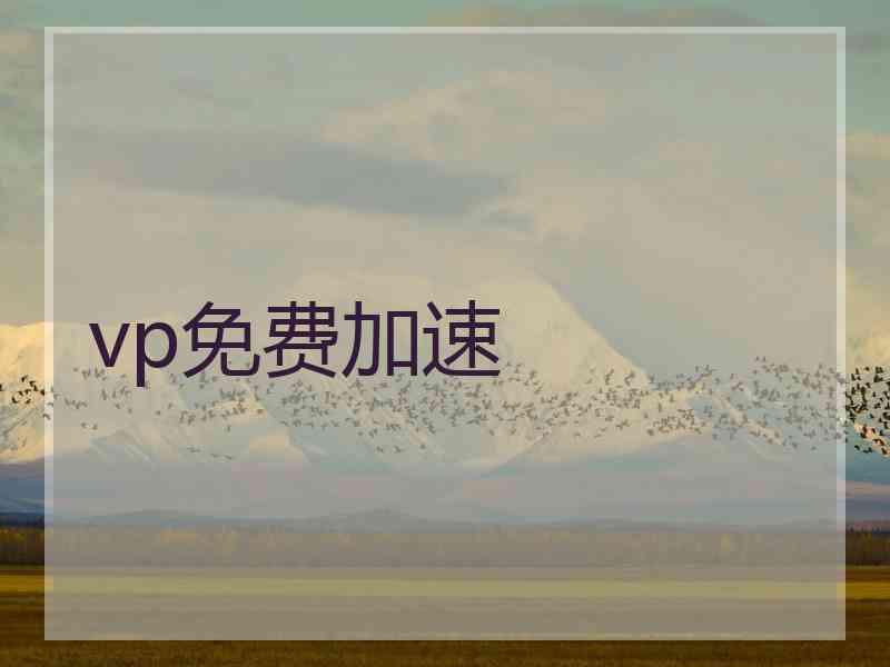 vp免费加速