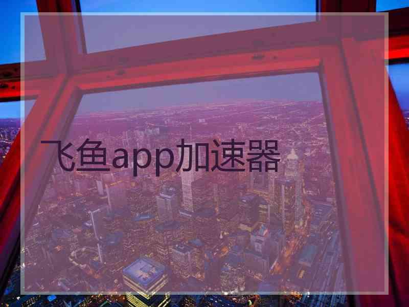 飞鱼app加速器