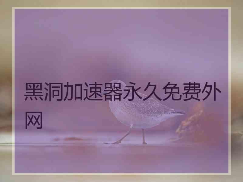 黑洞加速器永久免费外网