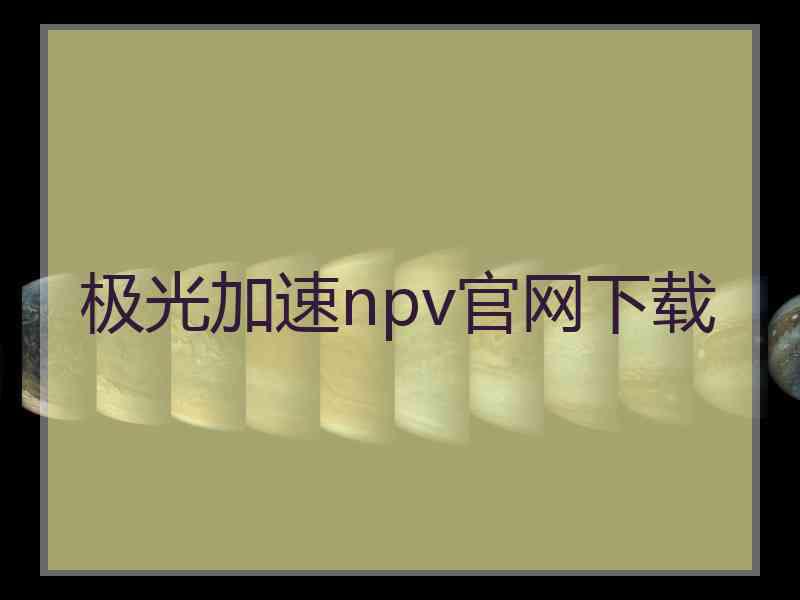 极光加速npv官网下载