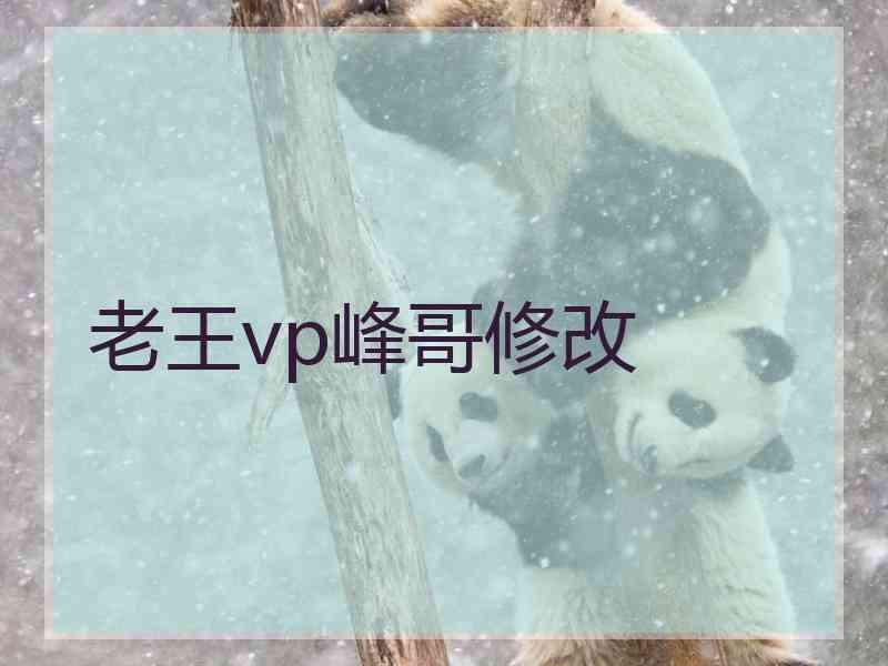 老王vp峰哥修改