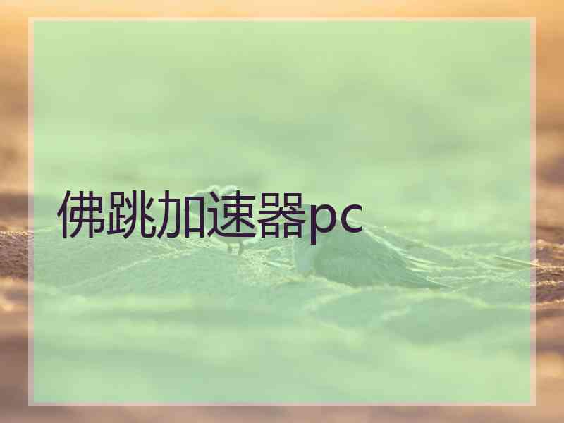 佛跳加速器pc
