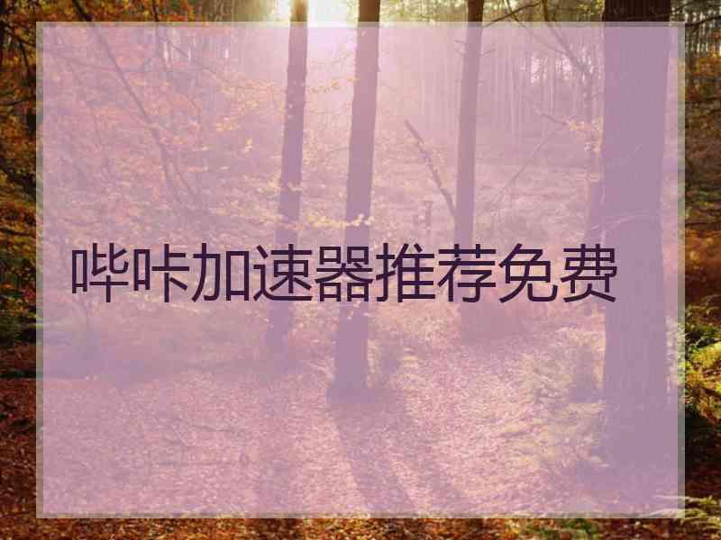 哔咔加速器推荐免费