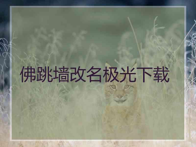 佛跳墙改名极光下载
