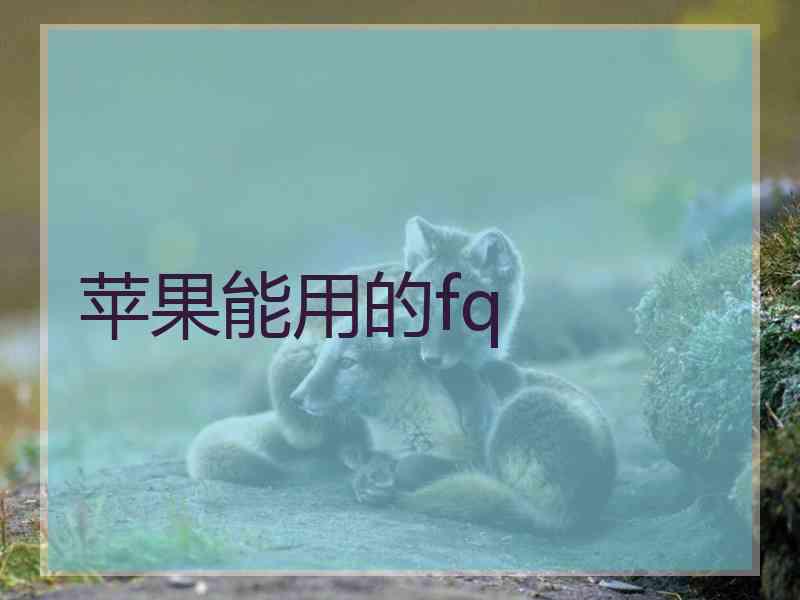 苹果能用的fq