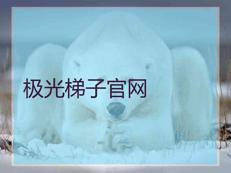 极光梯子官网