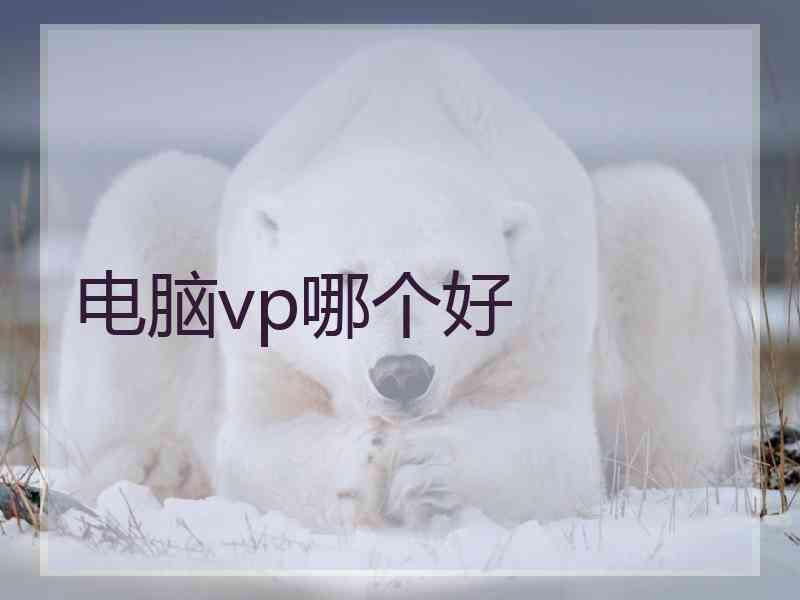 电脑vp哪个好