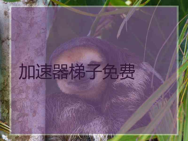 加速器梯子免费