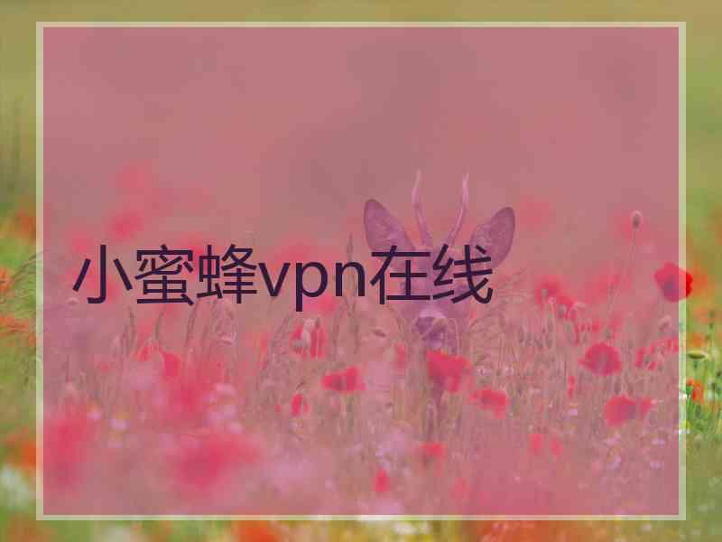 小蜜蜂vpn在线
