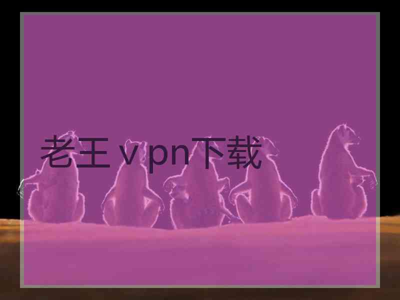 老王ⅴpn下载