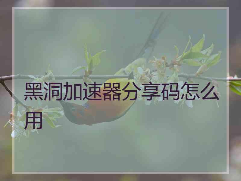 黑洞加速器分享码怎么用
