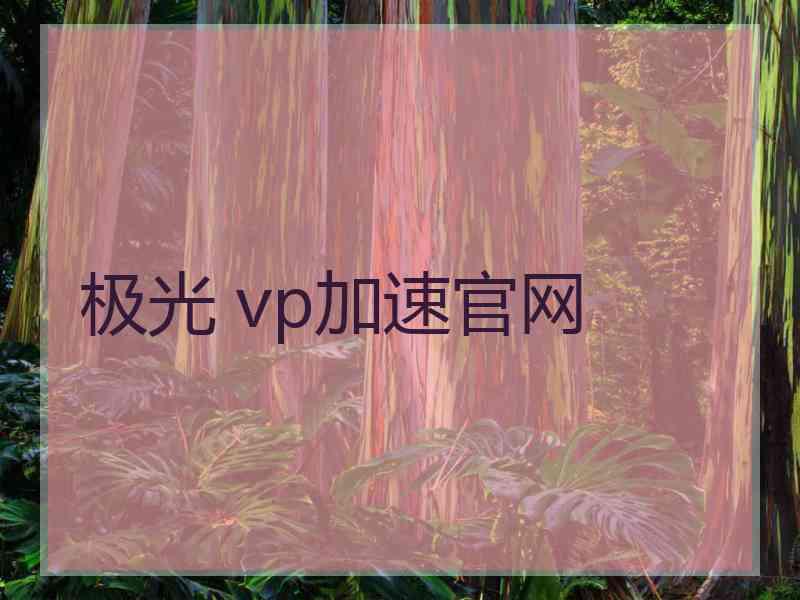 极光 vp加速官网