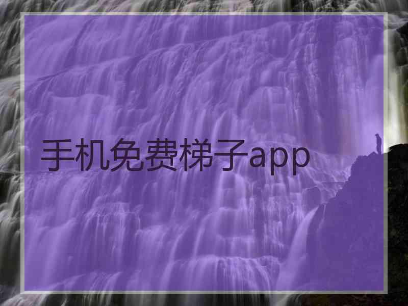 手机免费梯子app