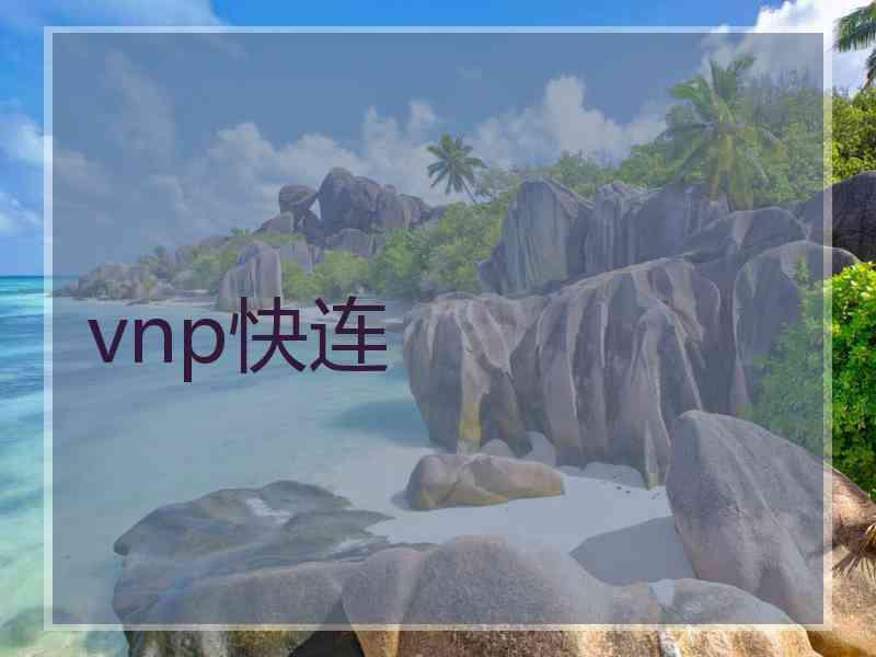 vnp快连
