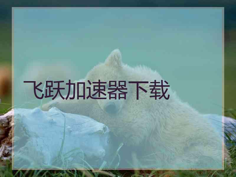 飞跃加速器下载