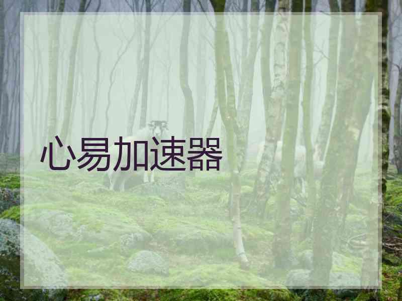 心易加速器