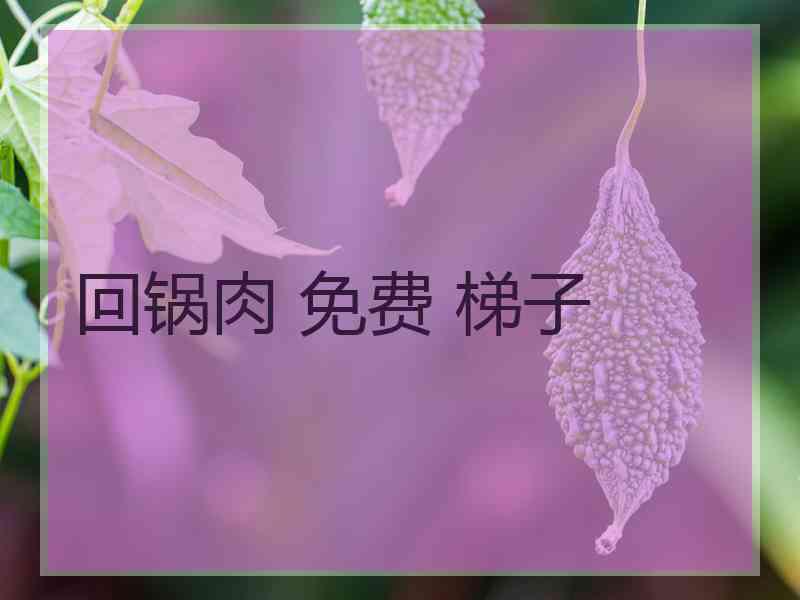 回锅肉 免费 梯子