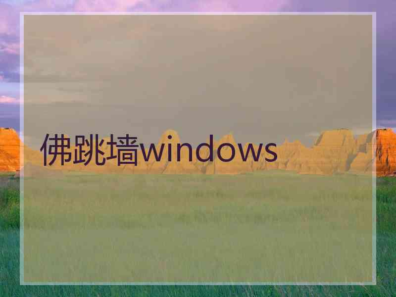 佛跳墙windows