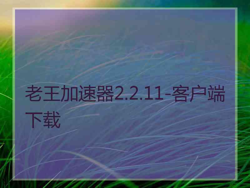 老王加速器2.2.11-客户端下载