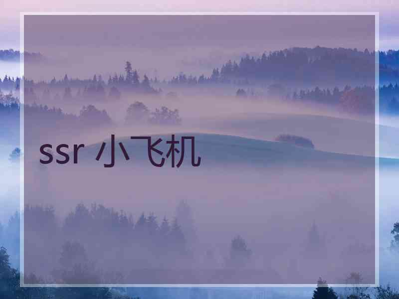 ssr 小飞机