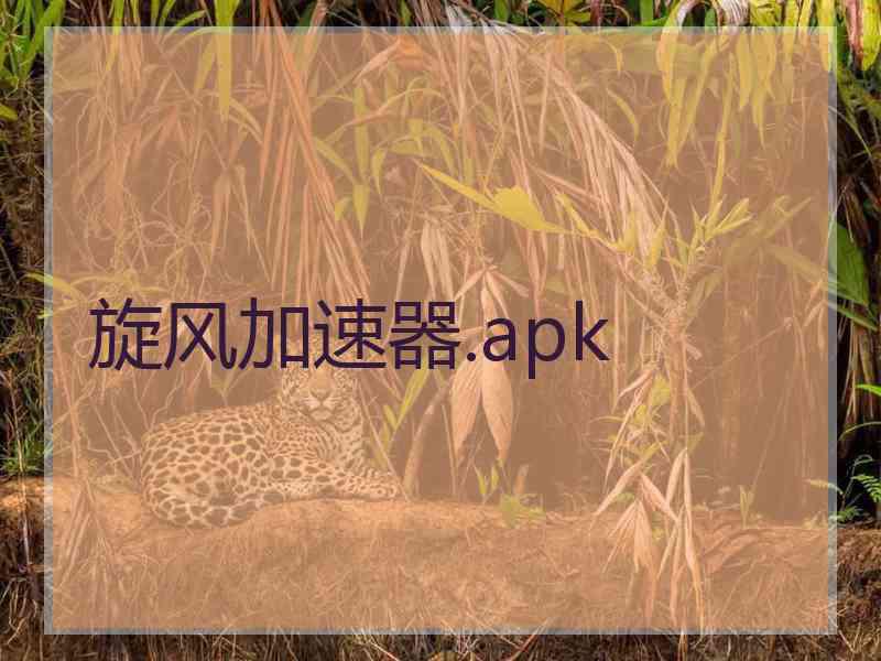 旋风加速器.apk