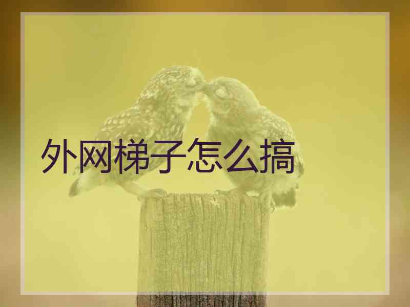 外网梯子怎么搞