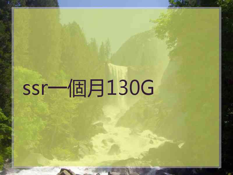ssr一個月130G