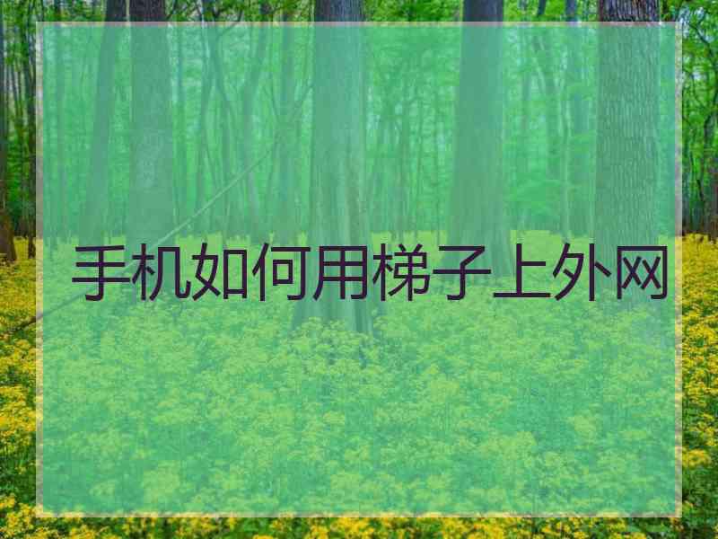 手机如何用梯子上外网